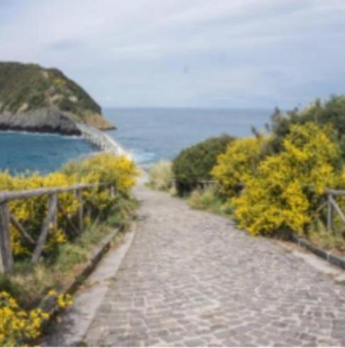 Tuttiacasaditeresa Rooms Redang Island Dış mekan fotoğraf